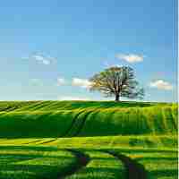 c语﻿言‍标​准‍规‌范​